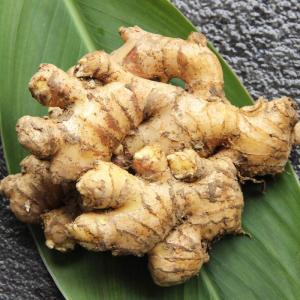 Wholesale skin: Fresh Whole Ginger