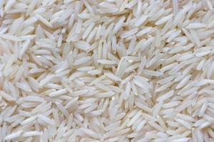 Wholesale thai seeds: Basmati Rice for Sale