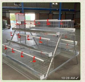 Wholesale l: A Shape Chicken Layer Cage for Poultry Farm