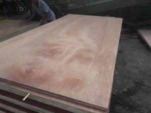 Wholesale acacia veneer: Plywood for Packing 2.5mmmm AB Grade From From Vietnam To Malaysia