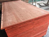 28mm Container Plywood for Container Flooring Using