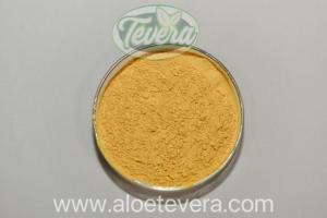 Wholesale Other Agriculture Products: TEVERA ALOE 100:1 Aloe Vera Barbadensis Whole Leaf Freeze Dried Powder Conventional Organic