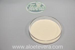 Wholesale dried food: TEVERA ALOE 100:1 Aloe Vera Whole Leaf Freeze Dried Powder Decolorized Conventional Organic