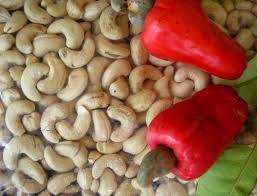 Wholesale raw cashew: Cashew Nuts (Raw and Roasted).