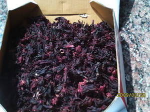 Wholesale flower: Dried Hibiscus Sabdariffa Thailand Origin