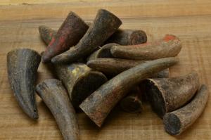 Wholesale black note: Cow Horn Tips