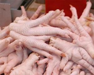 Wholesale slaughter: Frozen Chicken Paws