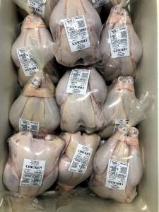 Wholesale Meat & Poultry: Halal Frozen Chicken  From Quality Vendors