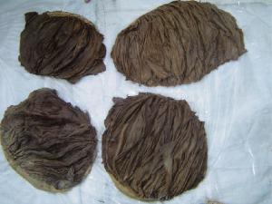 Wholesale e: Salted Beef Omasum