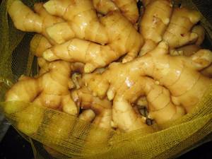 Wholesale fresh ginger: Fresh Ginger From Farm
