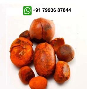 Wholesale cow ox gallstone: Ox and Cow Gallstones Fresh