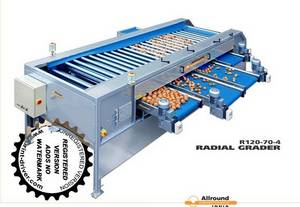 Wholesale machine roll: Fruit and Vegetable Grading Machine