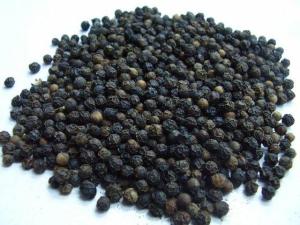 Wholesale pepper: Black Pepper - Best Quality and Price and FREE SAMPLE