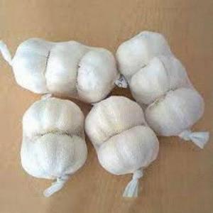 Wholesale food preservatives: Fresh White Garlic