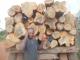 Sell  teak timber wood log