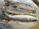 Sell Squid Roe New BQF Frozen Squid Eggs Gigas For Sale frozen squid white roe