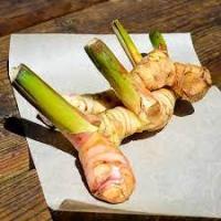Sell Galangal Roots