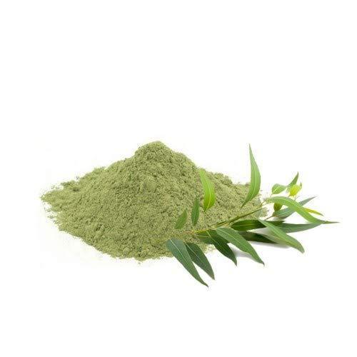 Sell Eucalyptus Leaf Powder