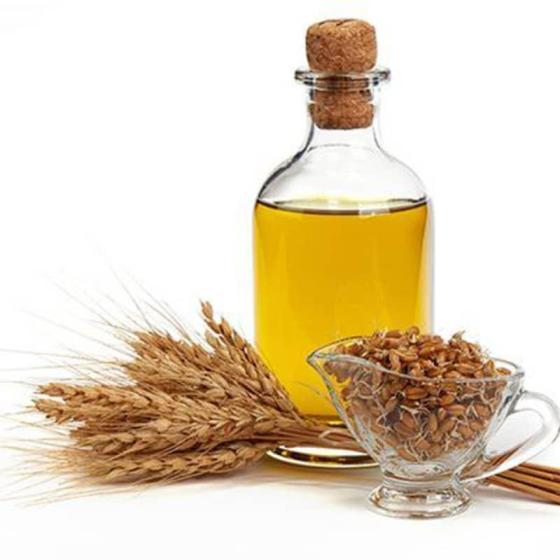 Sell Wheat Germ Carrier Oil