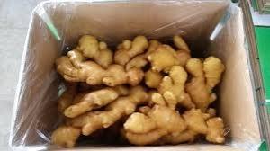 Wholesale stocking: Fresh and Dry Ginger   in Stock  Ready  for  Sale