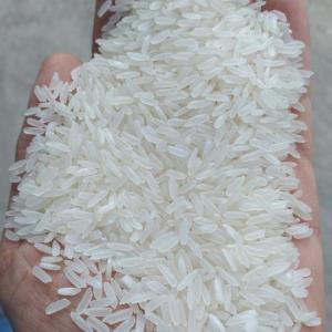 Wholesale red lead: Fragrant Rice (Perfumed Rice)