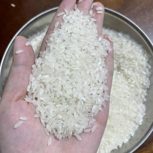 Wholesale 25kg paper bag: Medium Rice