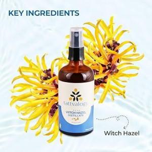Wholesale extracts: Witch Hazel Pulp Extract