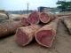Ayous Wood Logs  Timber On All Sizes