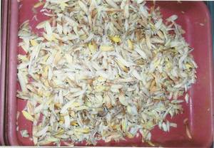 Wholesale seafood: Crab Meat