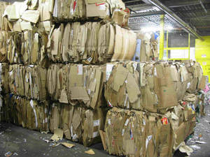 Wholesale ltd.: Waste Paper