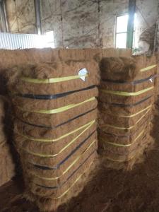 Wholesale indonesia: Natural Standard Coco Fiber Coconut Fiber Best Quality & Best Price From Indonesia