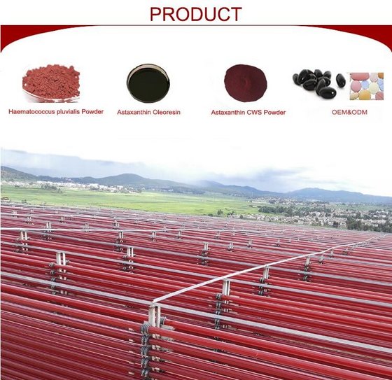 Yunnan Alphy Biotech Co Ltd Factories