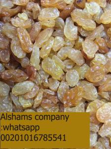 Wholesale carton: Raisins with High Quality