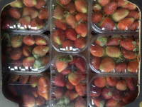 Fresh Strawberry