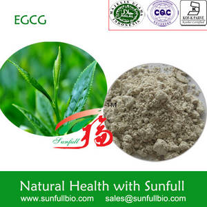 Wholesale theaflavin: Green Tea Extract