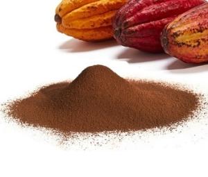 Wholesale calcium: 100% Organic Cacao Powder