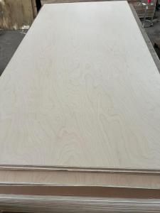 Wholesale Wood & Panel Furniture: Birch Plywood