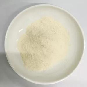 Wholesale edible salt: Foliar Spray Fertilizer 52% Organic Amino Acid Powder Fertilizer
