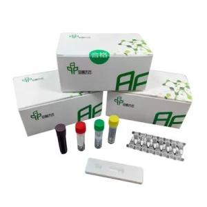 Wholesale colloidal gold test kit: DNA Isothermal Amplification Kit NFO with 500-1000 Copies/UL Detection Limit 48 Tests / Box