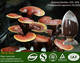 Sell  Ganoderma Lucidum sporocarp Extract reishi mushroom extract