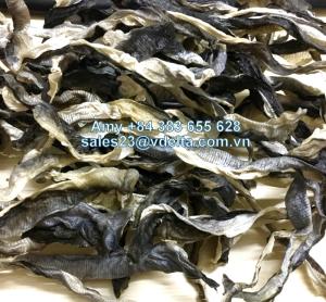 Wholesale basa: Pangasius/ Basa Fish Skin - Skin/ Cat Fish Skin
