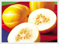 [Fruit-Vegetables] Oriental Melon for Export