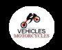 Pt Vehicles Motorcycle Company Logo