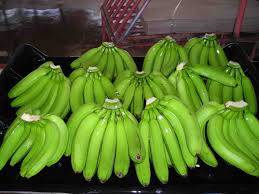 Wholesale green: Fresh Fruits Green Cavendish Banana/Cempendak/Jackfruits/Durians. Call +60143599064