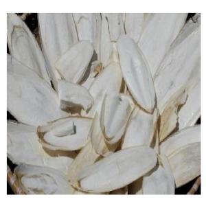 Wholesale animal feed: Dried Cuttlebone for Birds High Quality Cuttlefish Bone for Animal Feed