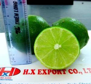 Wholesale hx: Lime