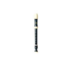 Wholesale classis: Classis Recorder Wholesale classis: Classis Recorder