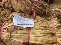 Sell dried water hyacinth material