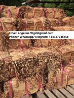 Sell dried water hyacinth material