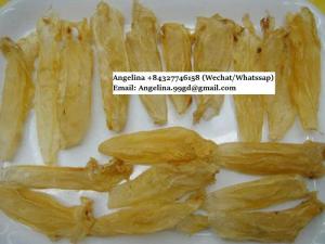 Wholesale basa: Dried Cod Fish Maw with Quality Export
